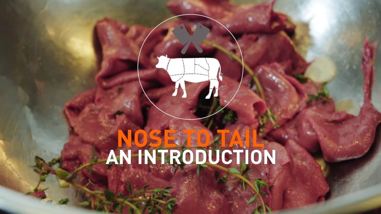 Nose to tail. An Introduction