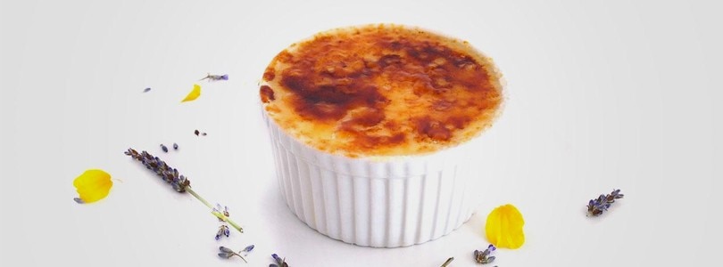 Lavender Creme Brulee