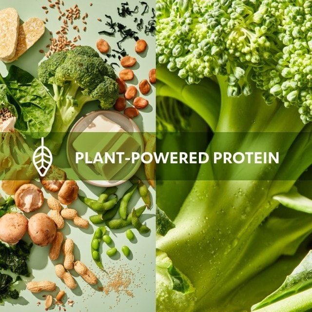 Plant-powered protein