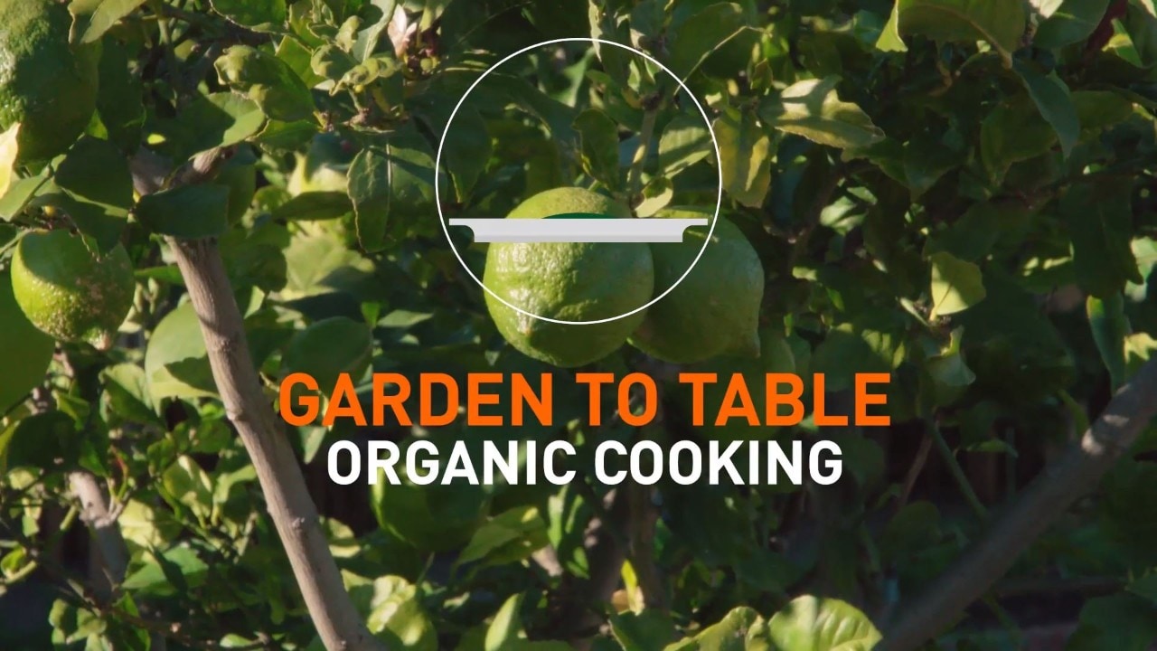 Organic cooking