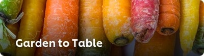 Gardent to Table Gardent to Table